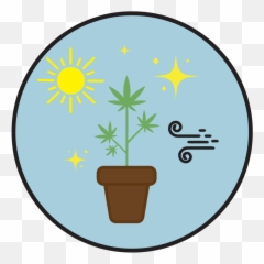 Slow Or Stunted Growth - GreenPlanet Nutrients USA Language png