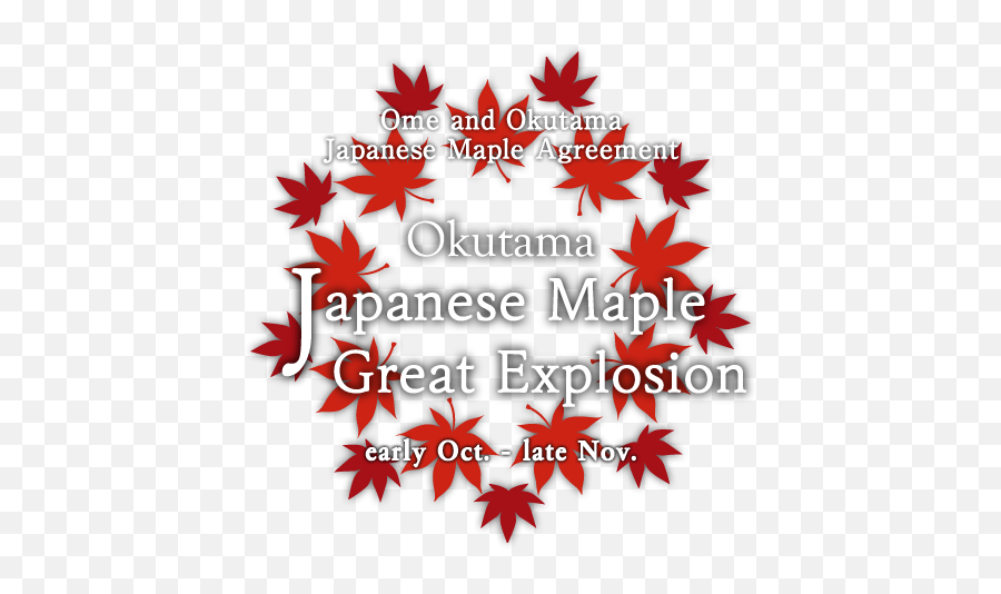 The Agreement Between Ome And Okutama Japanese Maple - Graphic Design Png,Japanese Maple Png