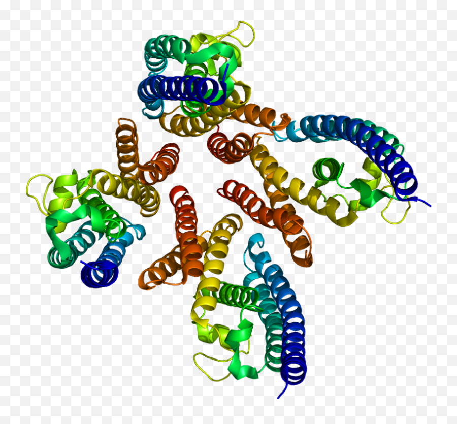 Translin - Wikipedia Protein Png,C3po Png