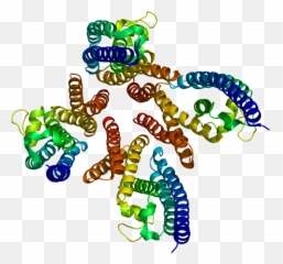 Translin - Wikipedia Protein Png,C3po Png