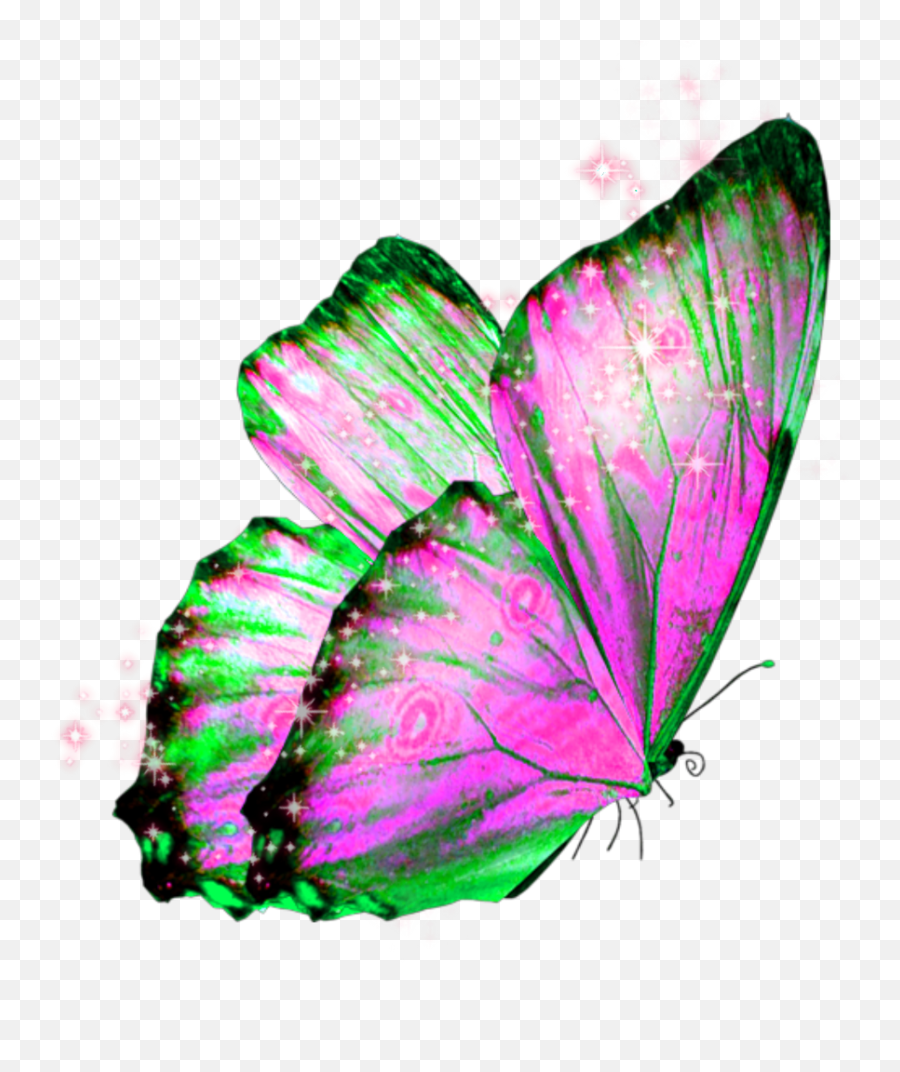 Download Hd Butterfly Wings Butterflywings Fairy - Transparent Background Butterfly Png,Fairy Transparent
