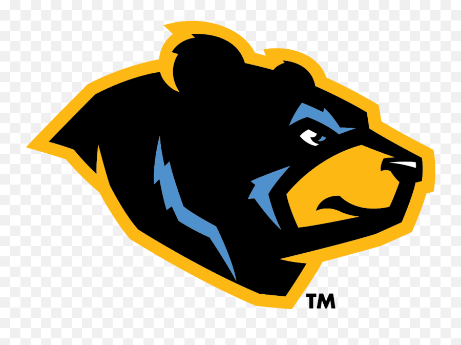 Black Bear Pictures Logos - Black Bears Logo Png,Bear Logos