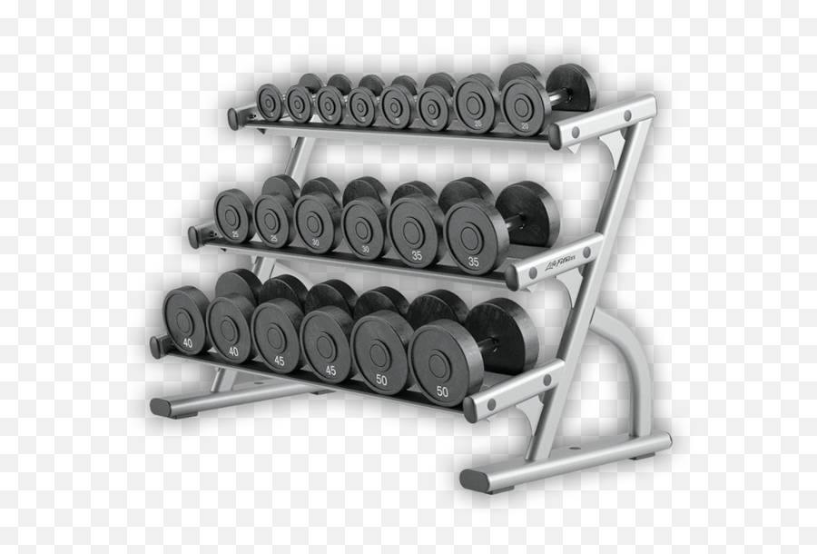Download Hf Life Fitness Optima Series - Life Fitness Rack Dumbbell Png,Dumbell Png