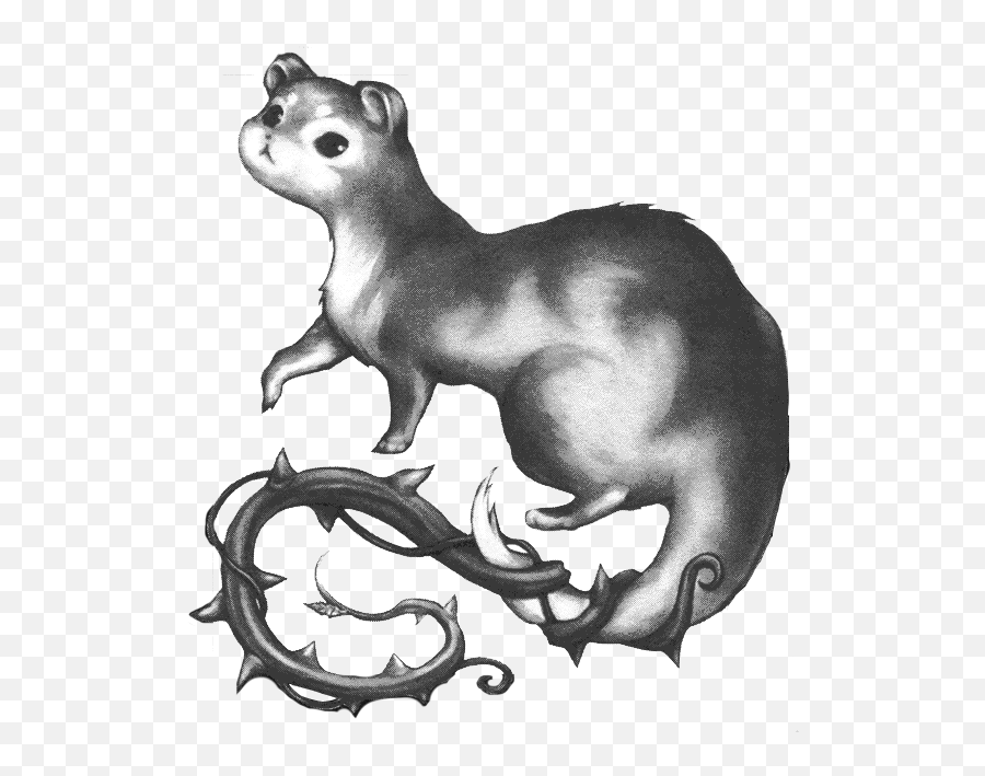 Download Free Png Brier Weasel - Weasel Familiar,Weasel Png