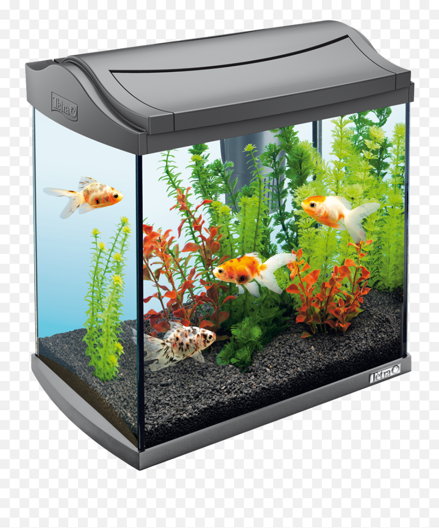 Download Free Png Aquarium - 30 Litre Fish Tank,Fish Tank Png