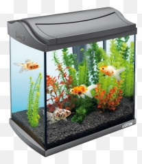 Download Free Png Aquarium - 30 Litre Fish Tank,Fish Tank Png