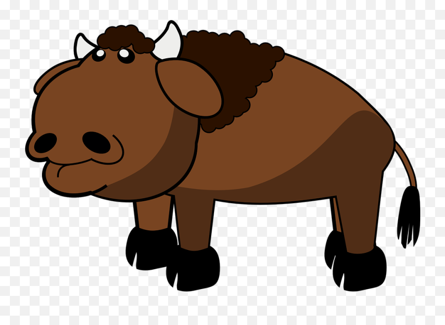 Bison Animal Buffalo - Buffalo Clipart Png,Buffalo Png
