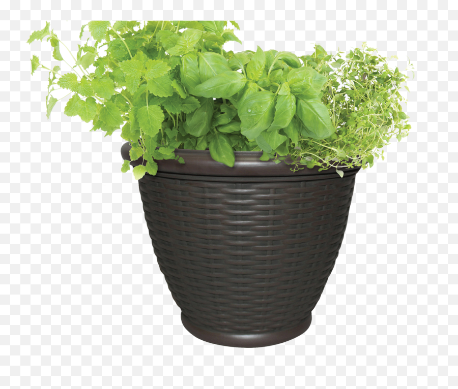 Pot With Soil Transparent Background - Outdoor Flower Pot Png,Planter Png