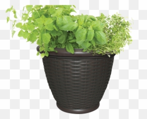 Pot With Soil Transparent Background - Outdoor Flower Pot Png,Planter Png