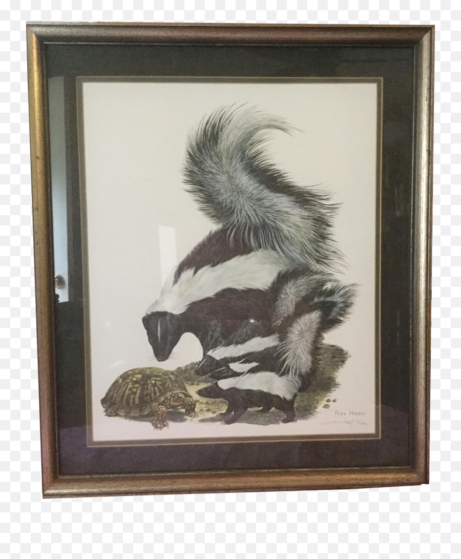 Skunks By Ray Harm Limited Edition Print Png Skunk Transparent
