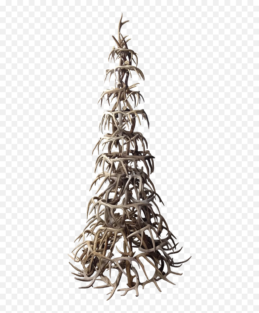 Whitetail Antler Christmas Tree - Vertical Png,Christmas Tree Lights Png