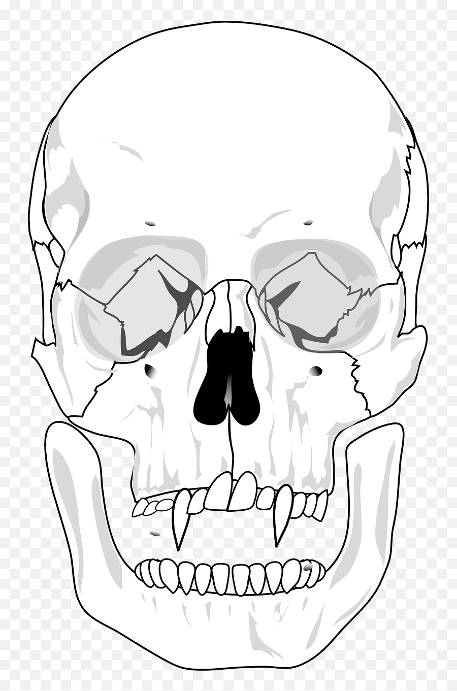 Evil Skull Devil - Human Skull Diagram Png,Evil Mouth Png