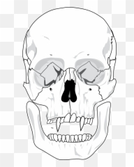 Evil Skull Devil - Human Diagram png