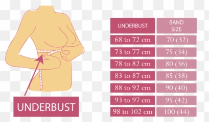 Bra Size Chart U2013 Bamboo Mi - Band png