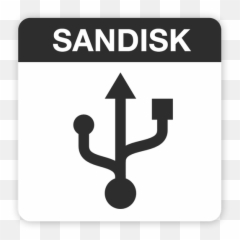Sandisk Usb White - Download Free Icon Flader 2 Crazy Pack Usb Logo Black Transparent Png,Ssd Icon Png