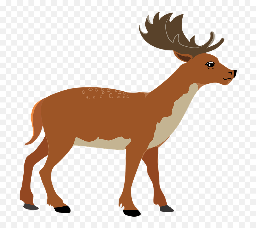 Animal Deer Icon - Animal Figure Png,Deer Icon Png