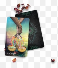The Light Seeru0027s Tarot Chris - Anne Tarot Cards And Png,Tarot Card Png