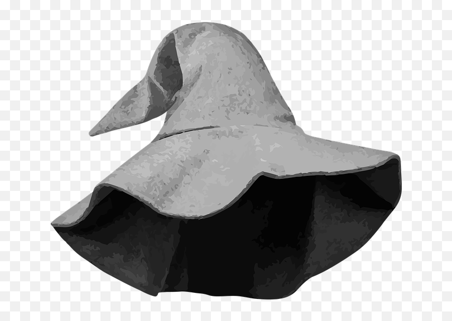 Wizard Hat Costume - Free Image On Pixabay Duck Png,Wizard Hat Png