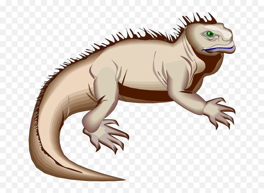 Iguana Small Lizard Transparent Png - Clip Art Galapagos Marine Iguana,Iguana Png