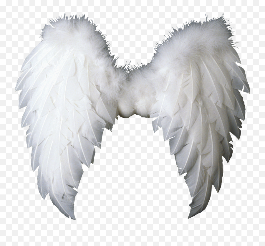 White Wings Png Image - Purepng Free Transparent Cc0 Png Angel Wings Transparent Background,Wing Png