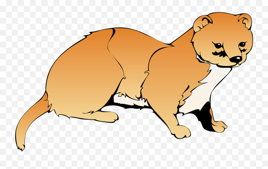 Weasel Brown White - Clip Art Weasel Png,Weasel Png
