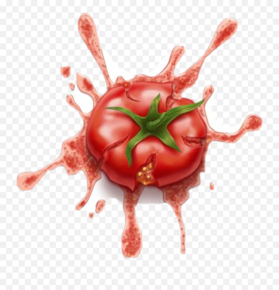 Splat The Tomatoe - Tomato Splat Png,Tomatoe Png