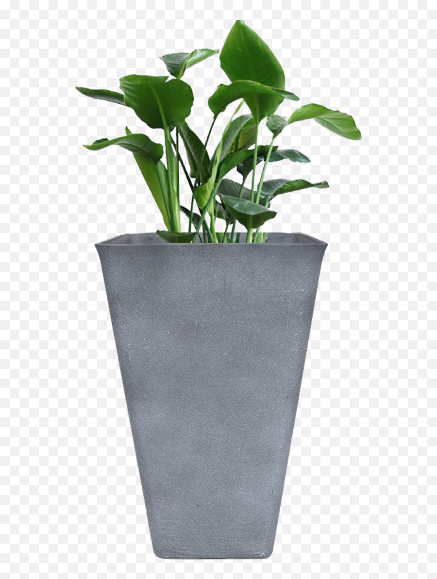 Download Tall Planter 26 Inch Large - Tall Planter Png,Planter Png