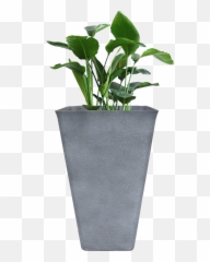 Download Tall Planter 26 Inch Large - Tall Planter Png,Planter Png