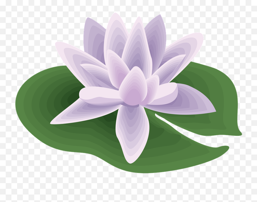 Flower Icon Symbol - Free Image On Pixabay Lily Pad Clip Art Png,Flower Icon Png