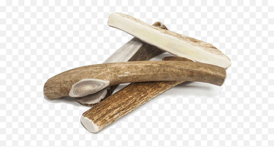 Download Prairie Dog Pet Products American Sourced Antlers - Solid Png,Driftwood Png
