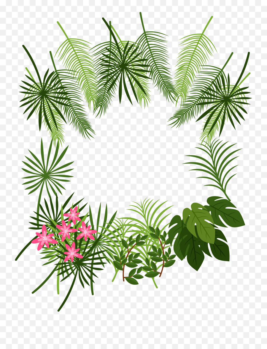 Tropical Leaves Border Png - Tropical Plant Illustration Free Png,Leaves Border Png