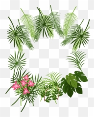 Tropical Leaves Border Png - Plant Illustration Free