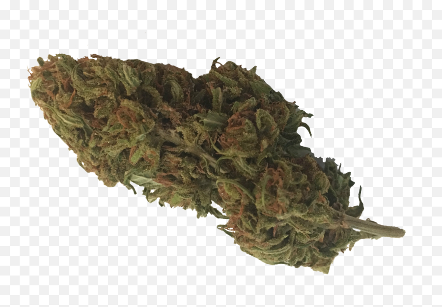 Hemp Buds Cbd Flowers Product In Orlando - Hemp Buds Png,Hemp Leaf Png