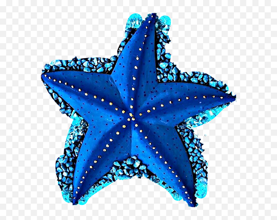 Seacreatures Seacreature Sticker - Blue Starfish Png,Blue Starfish Logo