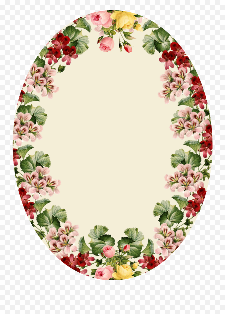 Oval Shape Flower Frame Png Transparent Cartoon - Jingfm Epistle To The Ephesians 4 25,Oval Border Png