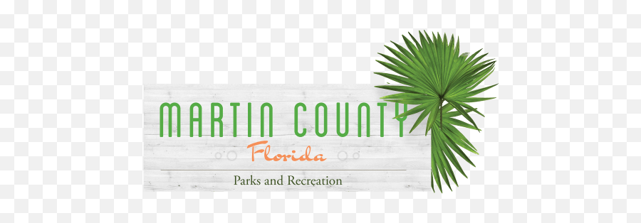 Parks And Rec Palm Logo Trans - Horizontal Png,Palm Logo