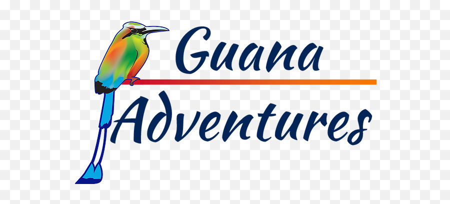 Guana Adventures Rio Celeste - Language Png,Celeste Icon