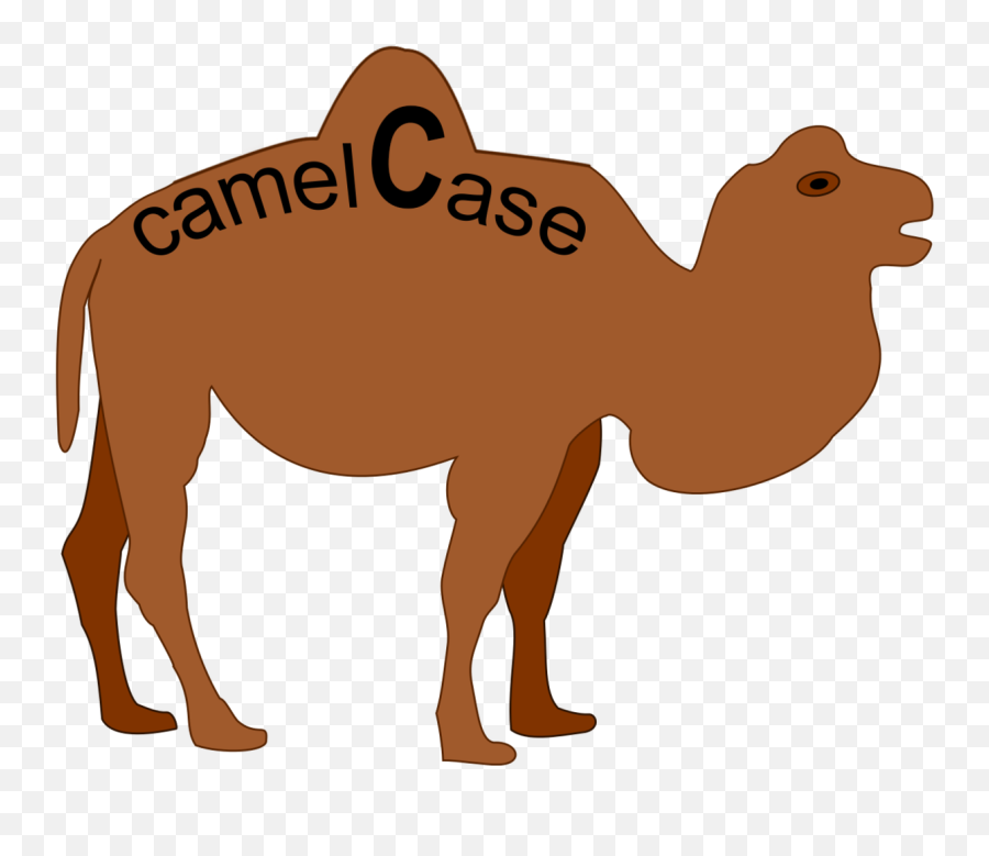Camel Case - Camel Case Examples Png,Camel Logo