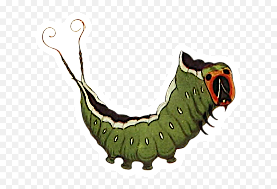 Puss Moth Caterpillar Sticker - Parasitism Png,Moth Icon