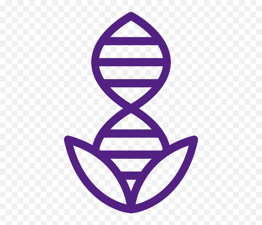 Collagen - Girly Png,Gmo Free Icon