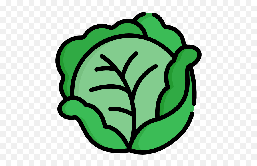 List Of Memory Boosting Foods - Improve Brain Power Cabbage Icon Png,Brain Power Icon