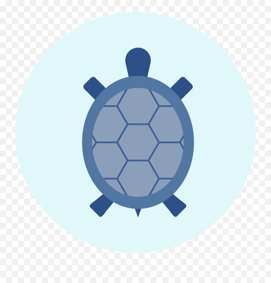 Palawan Island Camping Activities Swimming With Turtles - Prestons College Png,Turtle Shell Icon