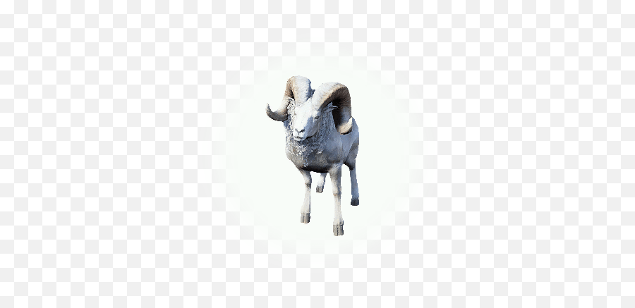 Kamasylvia Mountain Lamb - Bdo Codex Png,Bdo Guild Icon