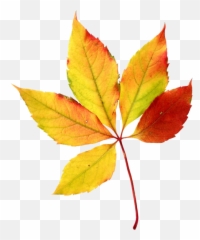 Fall Leaves Autumn Watercolor Sini Ezer Hojas Clip - Autumn Season Leaves Clipart png