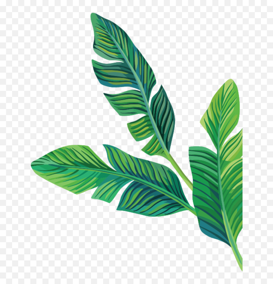 Download Free Png Tropical Stickers Transparent Aesthetic - Aesthetic Green Plant Png,Plant Transparent