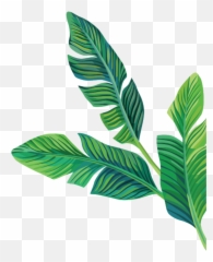 Download Free Png Tropical Stickers Transparent Aesthetic - Aesthetic Green Plant Png,Plant Transparent