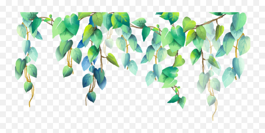 Plants Png - Green Plant Plants Png Pngstickers Watercolour Leaves Border,Jungle Leaves Png
