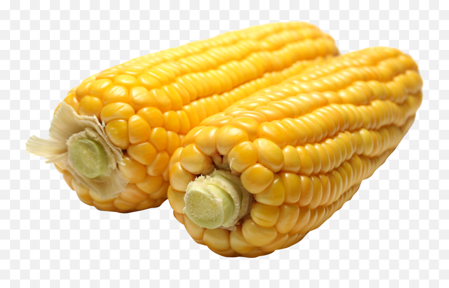 Corn Png Image - Corn Png,Corn Png