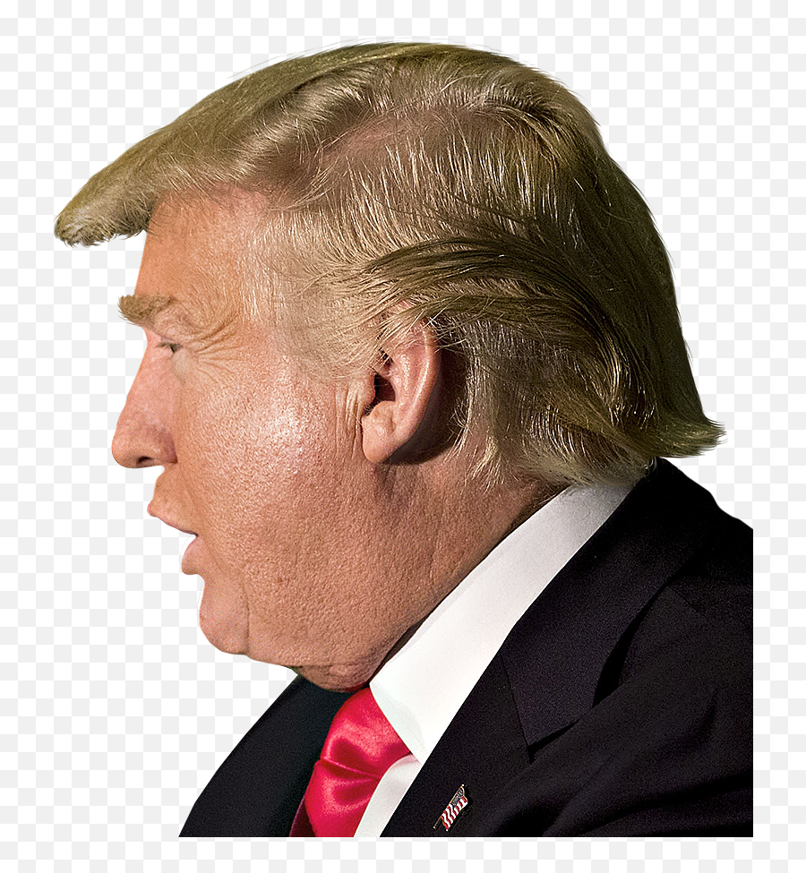 Donald Trump Head Will See You Un Court Png - Donald Trump Side View,Trump Png