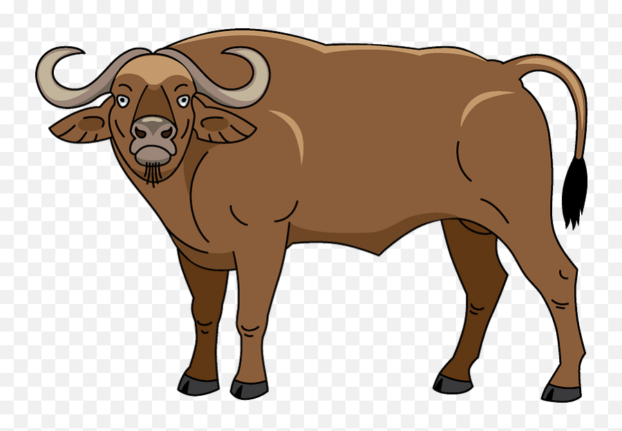 Download Buffalo Clipart Hd Png - Buffalo Clipart,Buffalo Png